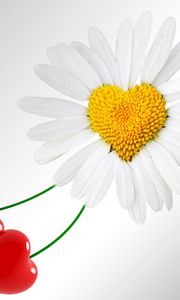 Preview wallpaper daisy, heart, love, romance