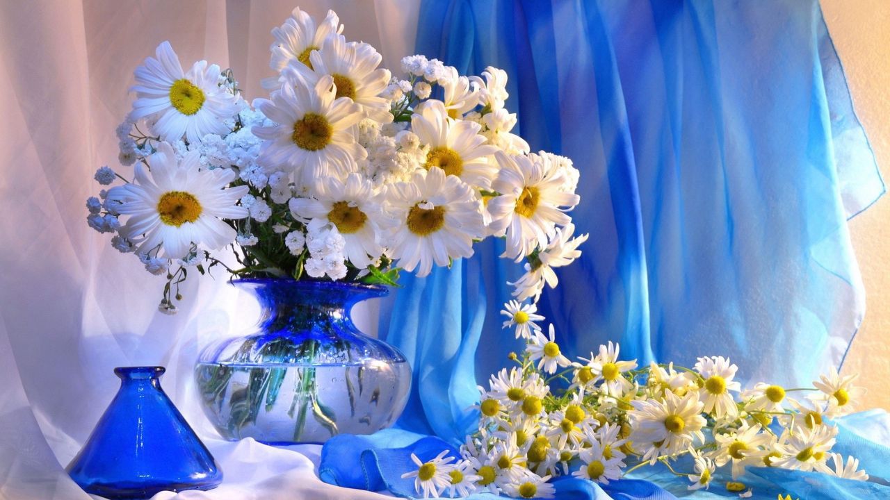 Wallpaper daisy, vase, flowers, bouquet, decoration