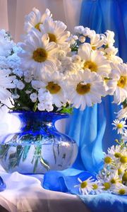 Preview wallpaper daisy, vase, flowers, bouquet, decoration