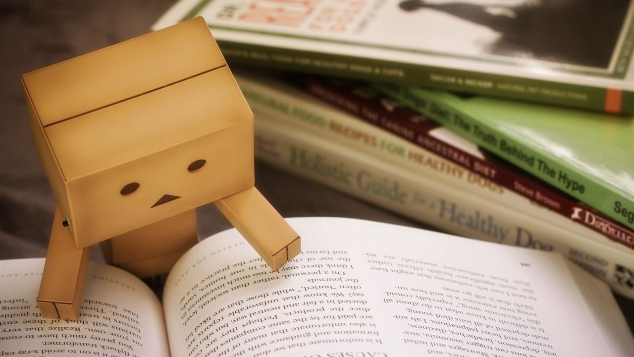 Wallpaper danbo, cardboard robot, book, reading