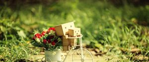 Preview wallpaper danboard, bicycle, cardboard robots, flowers, grass