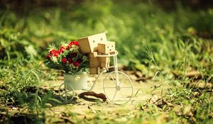 Preview wallpaper danboard, bicycle, cardboard robots, flowers, grass