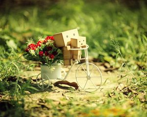 Preview wallpaper danboard, bicycle, cardboard robots, flowers, grass