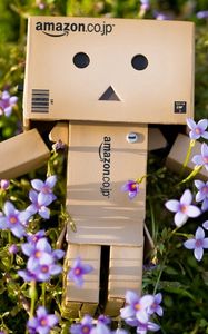 Preview wallpaper danboard, cardboard robot, flowers, grass