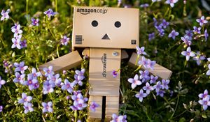 Preview wallpaper danboard, cardboard robot, flowers, grass