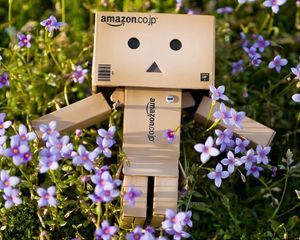 Preview wallpaper danboard, cardboard robot, flowers, grass