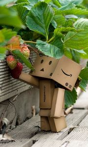 Preview wallpaper danboard, cardboard robot, strawberries, berries, grass, walk