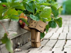 Preview wallpaper danboard, cardboard robot, strawberries, berries, grass, walk