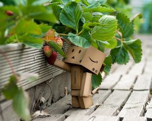 Preview wallpaper danboard, cardboard robot, strawberries, berries, grass, walk