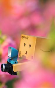 Preview wallpaper danboard, flowers, loneliness, camera