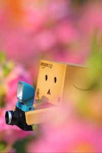 Preview wallpaper danboard, flowers, loneliness, camera