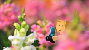 Preview wallpaper danboard, flowers, loneliness, camera