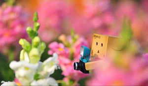 Preview wallpaper danboard, flowers, loneliness, camera