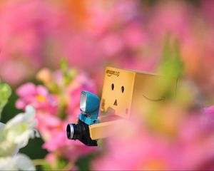 Preview wallpaper danboard, flowers, loneliness, camera