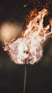 Preview wallpaper dandelion, fire, flame, fluff