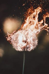 Preview wallpaper dandelion, fire, flame, fluff