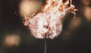 Preview wallpaper dandelion, fire, flame, fluff