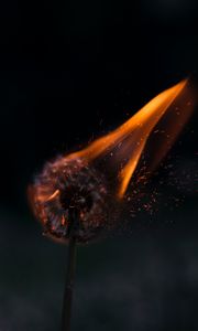 Preview wallpaper dandelion, fire, sparks