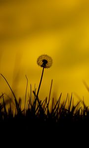 Preview wallpaper dandelion, flower, fluff, grass, silhouettes, dark