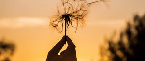 Preview wallpaper dandelion, hand, sunset, dusk, summer