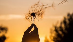 Preview wallpaper dandelion, hand, sunset, dusk, summer