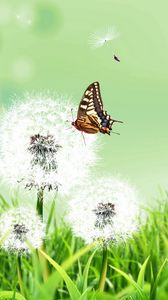 Preview wallpaper dandelions, butterfly, grass, nature