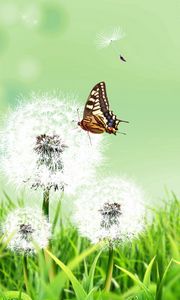 Preview wallpaper dandelions, butterfly, grass, nature