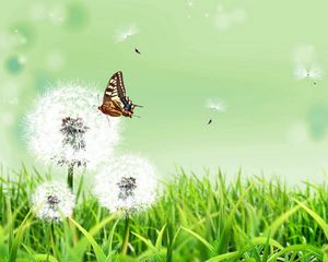 Preview wallpaper dandelions, butterfly, grass, nature