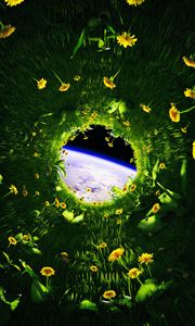 Preview wallpaper dandelions, flowers, grass, earth, space