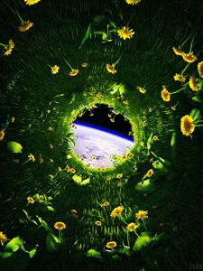 Preview wallpaper dandelions, flowers, grass, earth, space