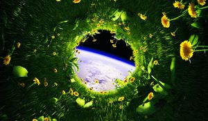 Preview wallpaper dandelions, flowers, grass, earth, space