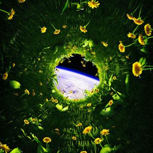 Preview wallpaper dandelions, flowers, grass, earth, space