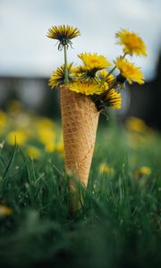 Preview wallpaper dandelions, flowers, grass, horn