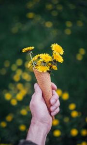 Preview wallpaper dandelions, flowers, horn, hand