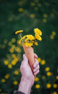 Preview wallpaper dandelions, flowers, horn, hand