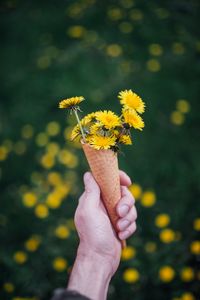 Preview wallpaper dandelions, flowers, horn, hand