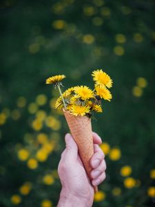 Preview wallpaper dandelions, flowers, horn, hand