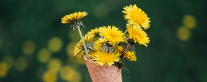 Preview wallpaper dandelions, flowers, horn, hand