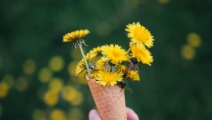 Preview wallpaper dandelions, flowers, horn, hand