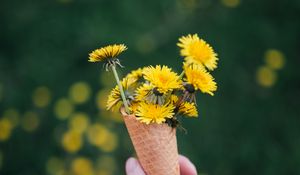 Preview wallpaper dandelions, flowers, horn, hand