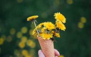 Preview wallpaper dandelions, flowers, horn, hand