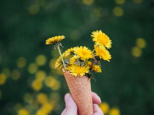 Preview wallpaper dandelions, flowers, horn, hand