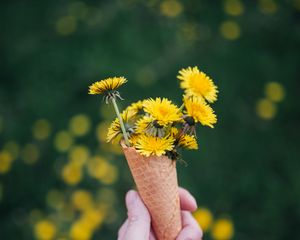 Preview wallpaper dandelions, flowers, horn, hand