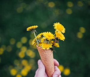 Preview wallpaper dandelions, flowers, horn, hand