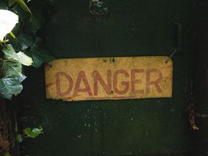 Preview wallpaper danger, words, inscription, plant