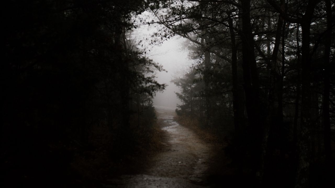 Wallpaper dark, forest, road