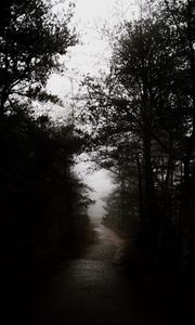 Preview wallpaper dark, forest, road