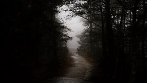 Preview wallpaper dark, forest, road