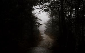 Preview wallpaper dark, forest, road