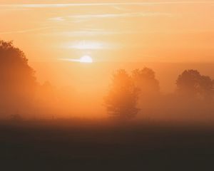 Preview wallpaper dawn, fog, morning, trees, sun